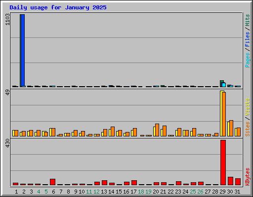 Daily usage for January 2025