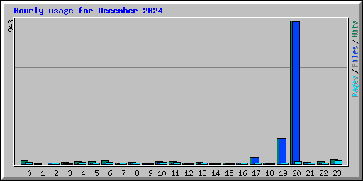 Hourly usage for December 2024