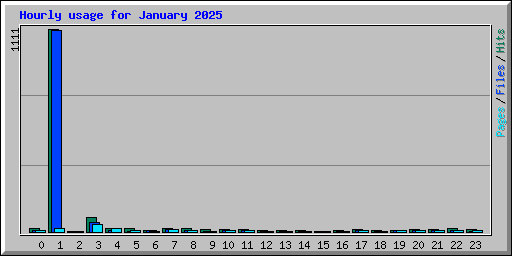 Hourly usage for January 2025