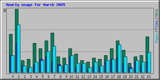 Hourly usage for March 2025