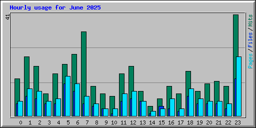Hourly usage for June 2025