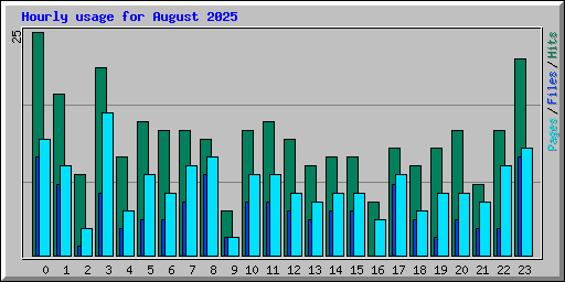Hourly usage for August 2025