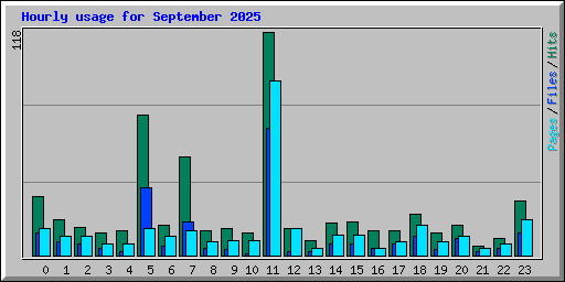 Hourly usage for September 2025
